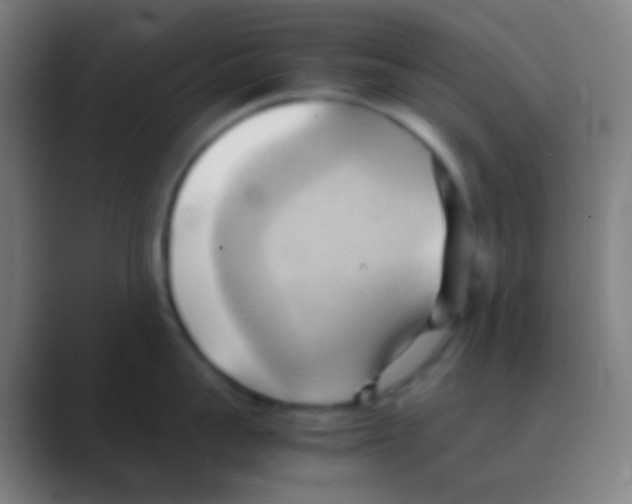 X0000088740959200706282141