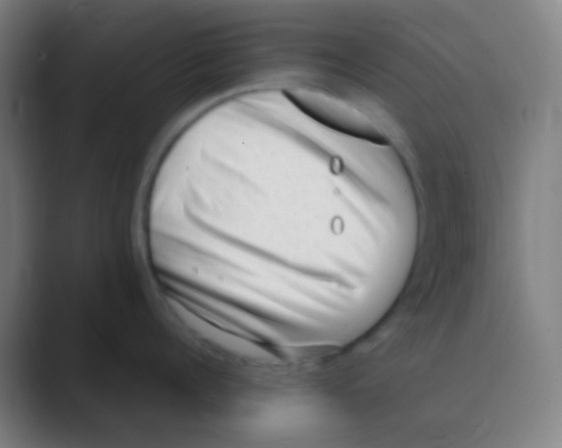 X0000088740960200706282141