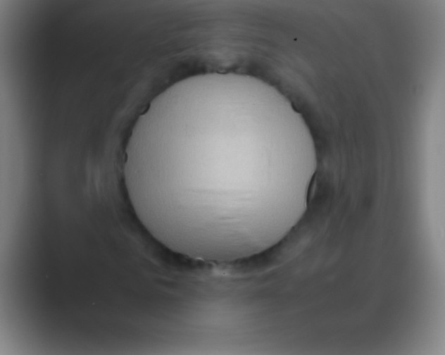 X0000088740961200706282141