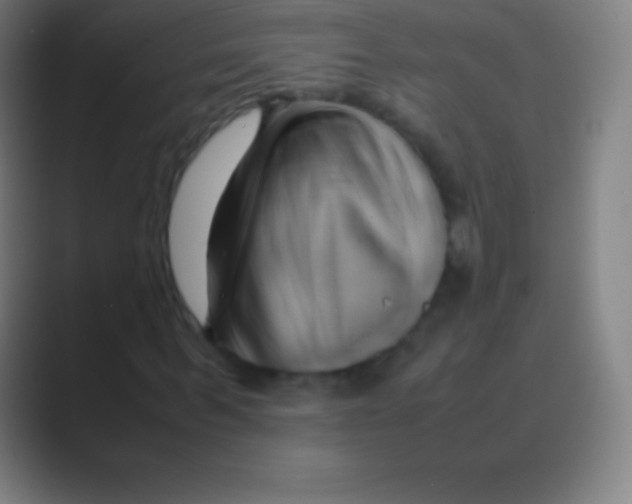 X0000088740963200706282141