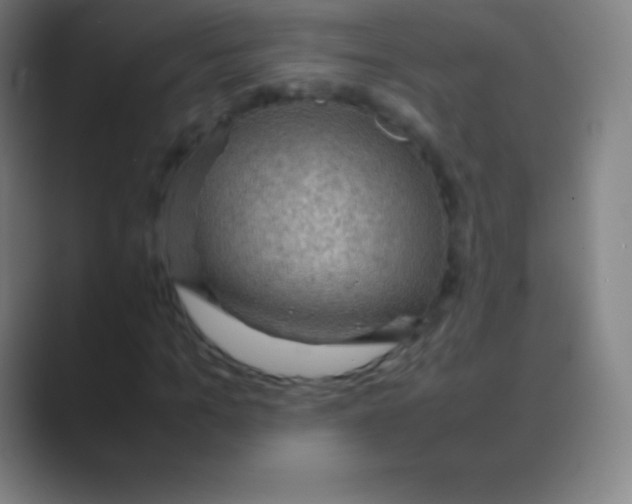 X0000088740965200706282141