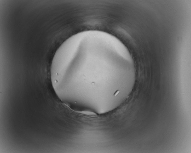 X0000088740966200706282141