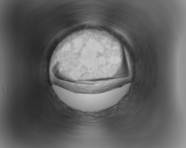 X0000088740968200706282141