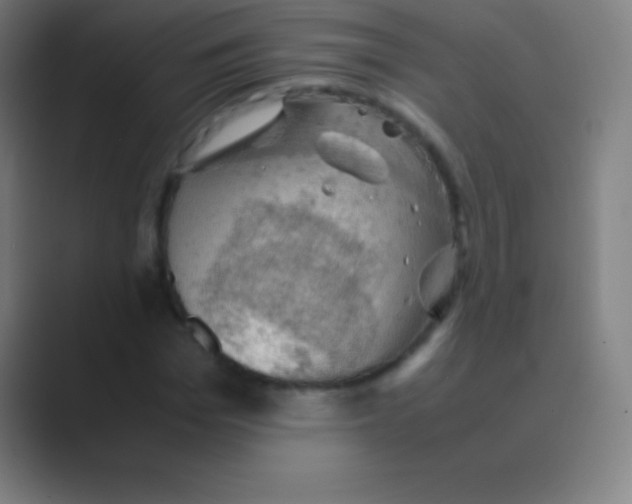 X0000088740969200706282141
