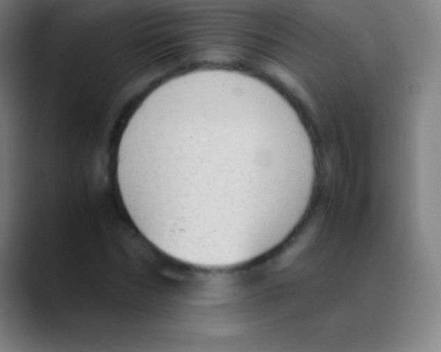 X0000088740970200706282141
