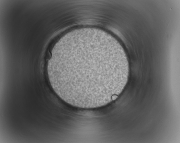 X0000088740971200706282141