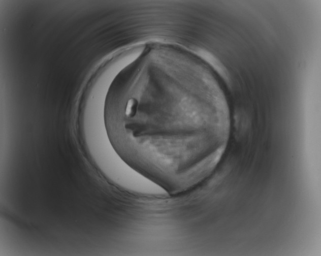 X0000088740972200706282141