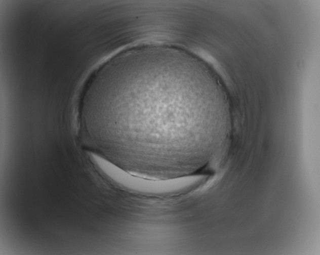 X0000088740973200706282141