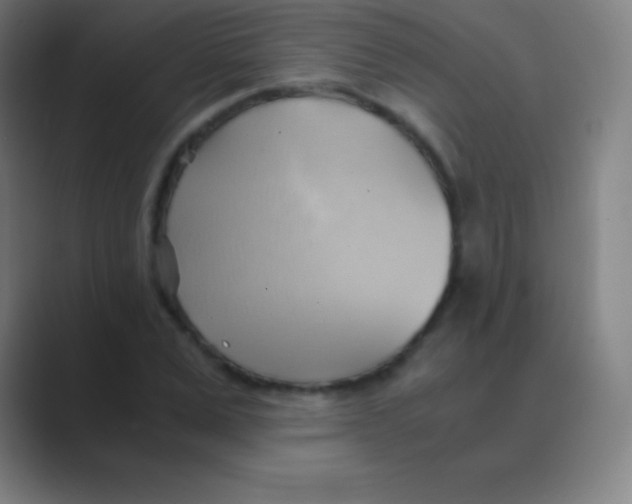 X0000088740975200706282141