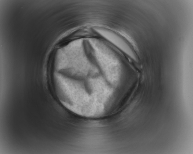 X0000088740976200706282141