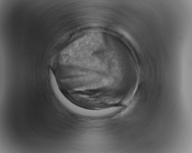 X0000088740977200706282140