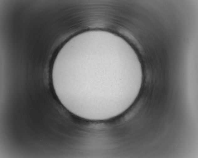 X0000088740978200706282140