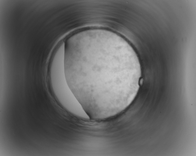 X0000088740980200706282140