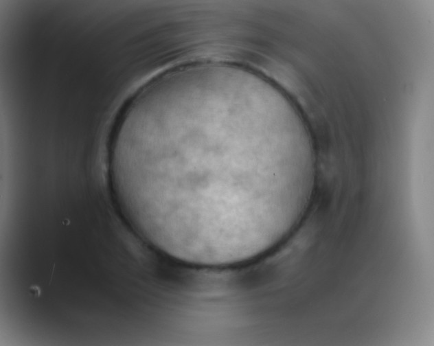 X0000088740981200706282140
