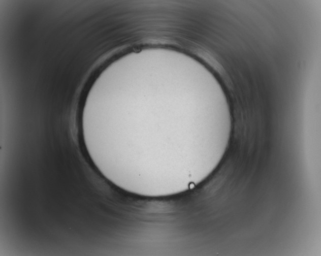 X0000088740984200706282140