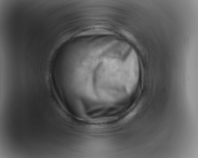 X0000088740985200706282140