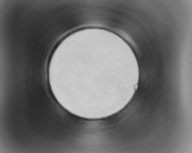 X0000088740988200706282140