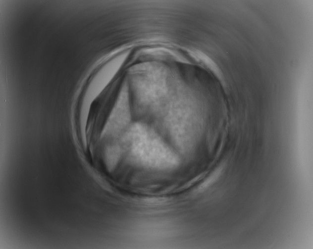 X0000088740989200706282140