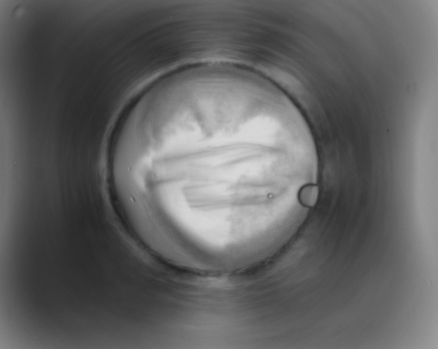 X0000088740990200706282140