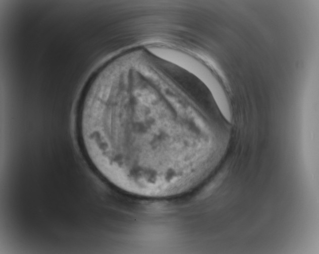 X0000088740991200706282140