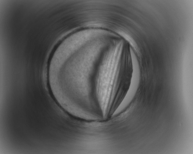 X0000088740992200706282140