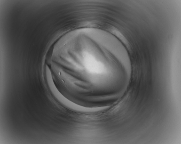X0000088740994200706282140