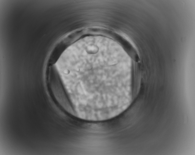 X0000088740995200706282140