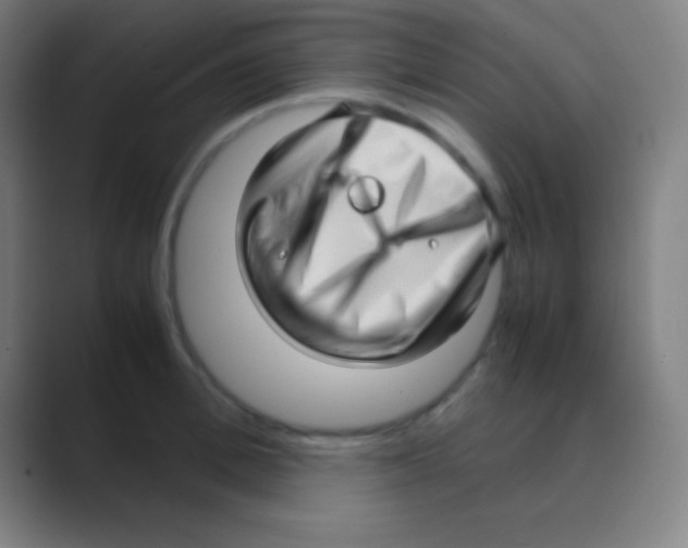 X0000088740996200706282140