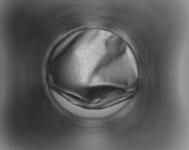 X0000088740997200706282140
