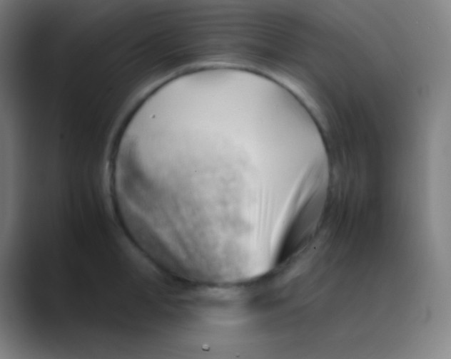 X0000088740998200706282140