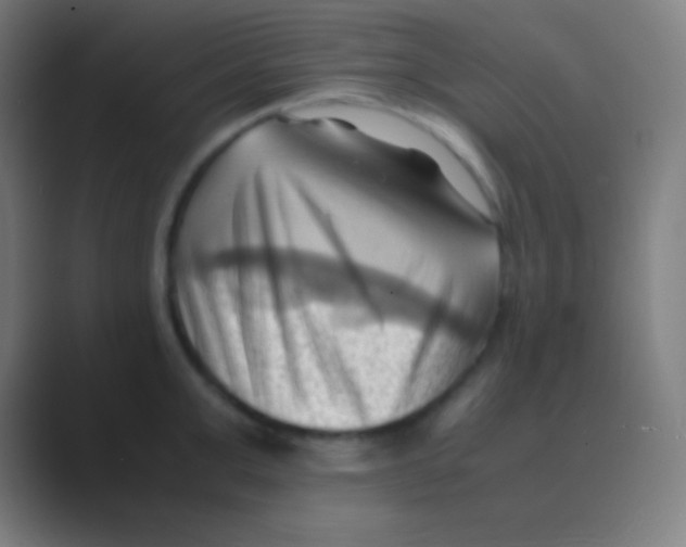 X0000088740999200706282140