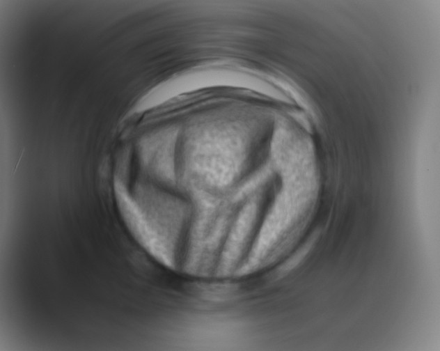 X0000088741001200706282140