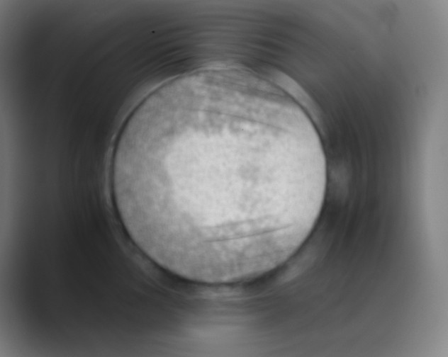 X0000088741002200706282140