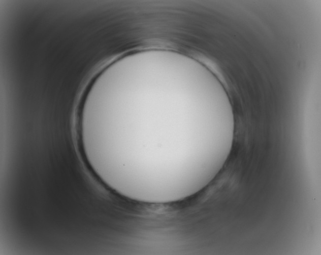 X0000088741003200706282140