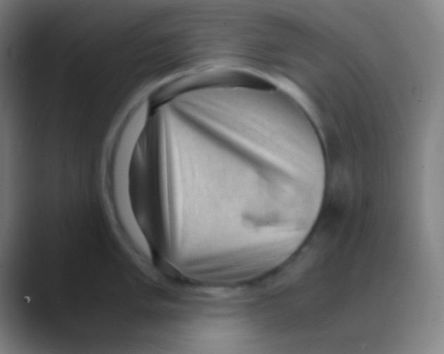X0000088741005200706282140