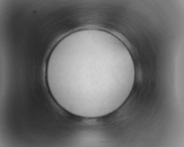 X0000088741006200706282140