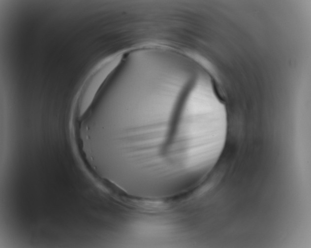 X0000088741007200706282140