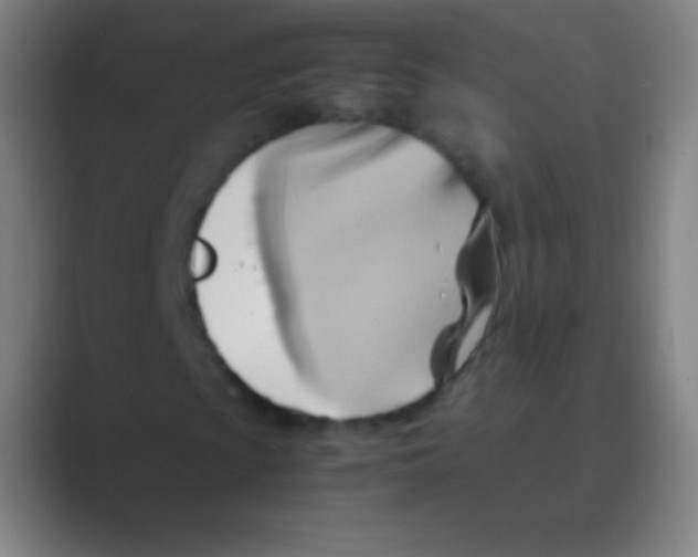 X0000088741009200706282139