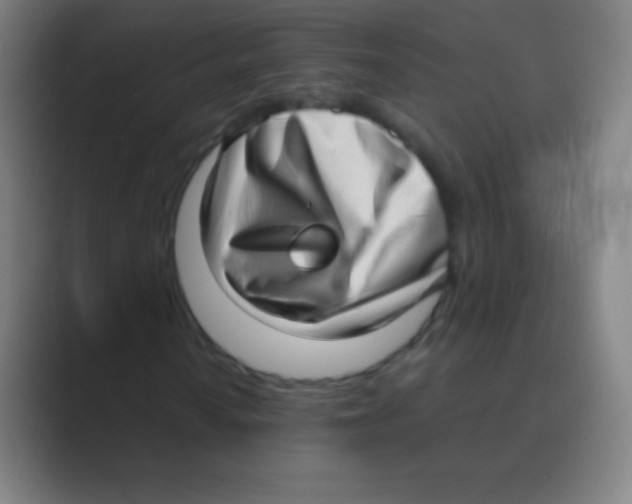 X0000088741010200706282139