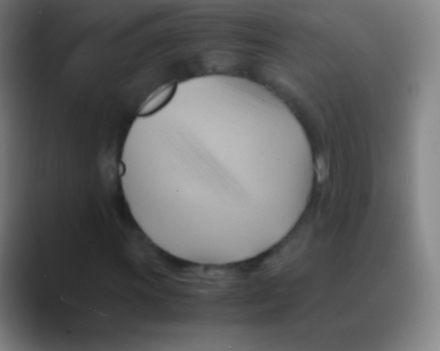 X0000088741011200706282139