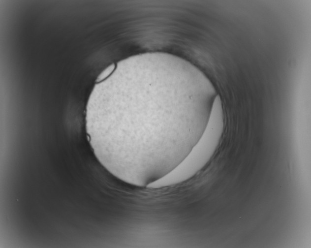 X0000088741012200706282140