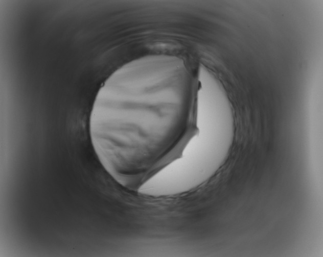 X0000088741013200706282140
