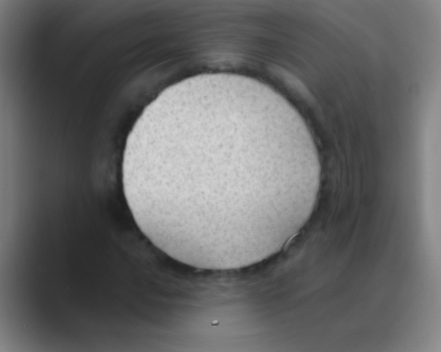 X0000088741016200706282140
