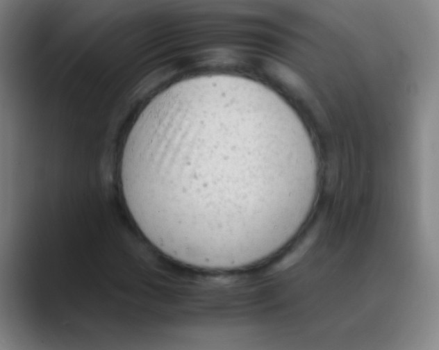 X0000088741017200706282140