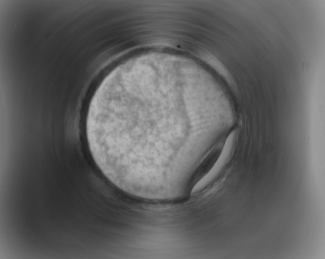 X0000088741020200706282140