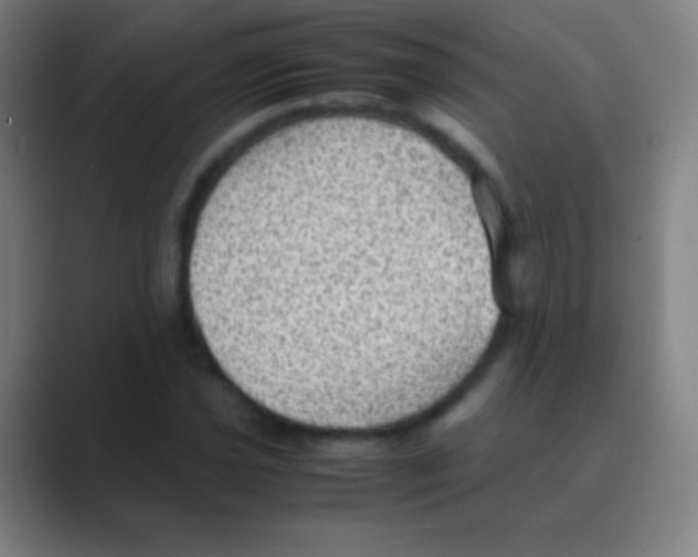 X0000088741021200706282140