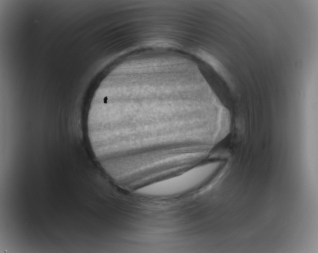 X0000088741022200706282140