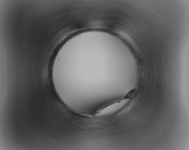X0000088741023200706282140