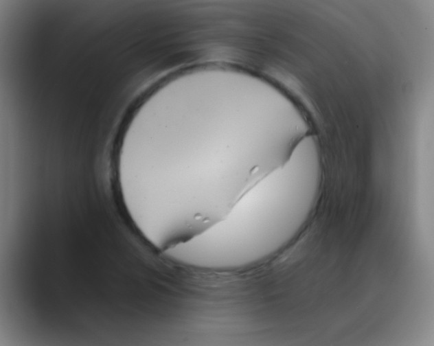 X0000088741024200706282140