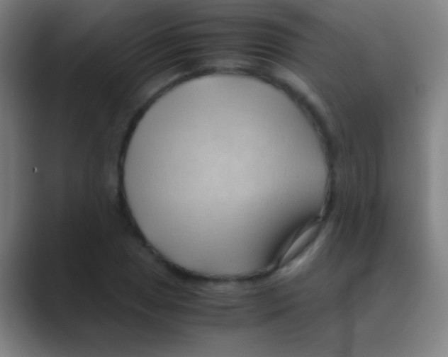 X0000088741025200706282140